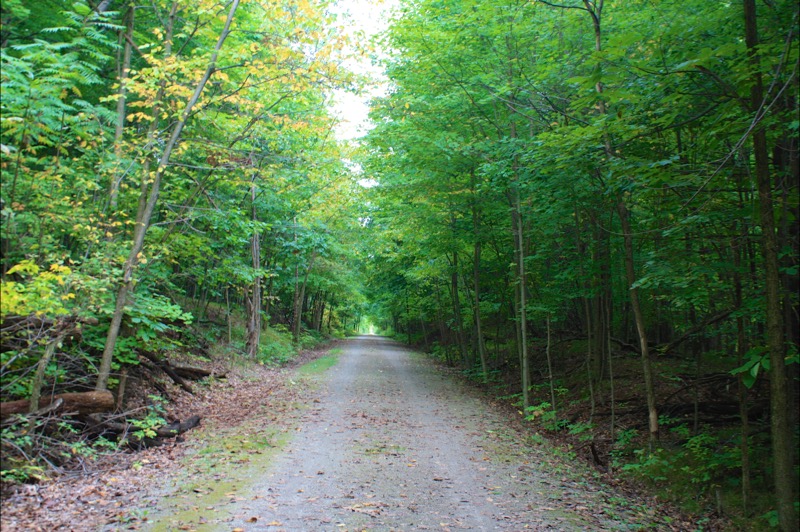 Polly Ann Trail